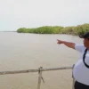 Perjuangan Nelayan Cilamaya Menjaga Hutan Mangrove