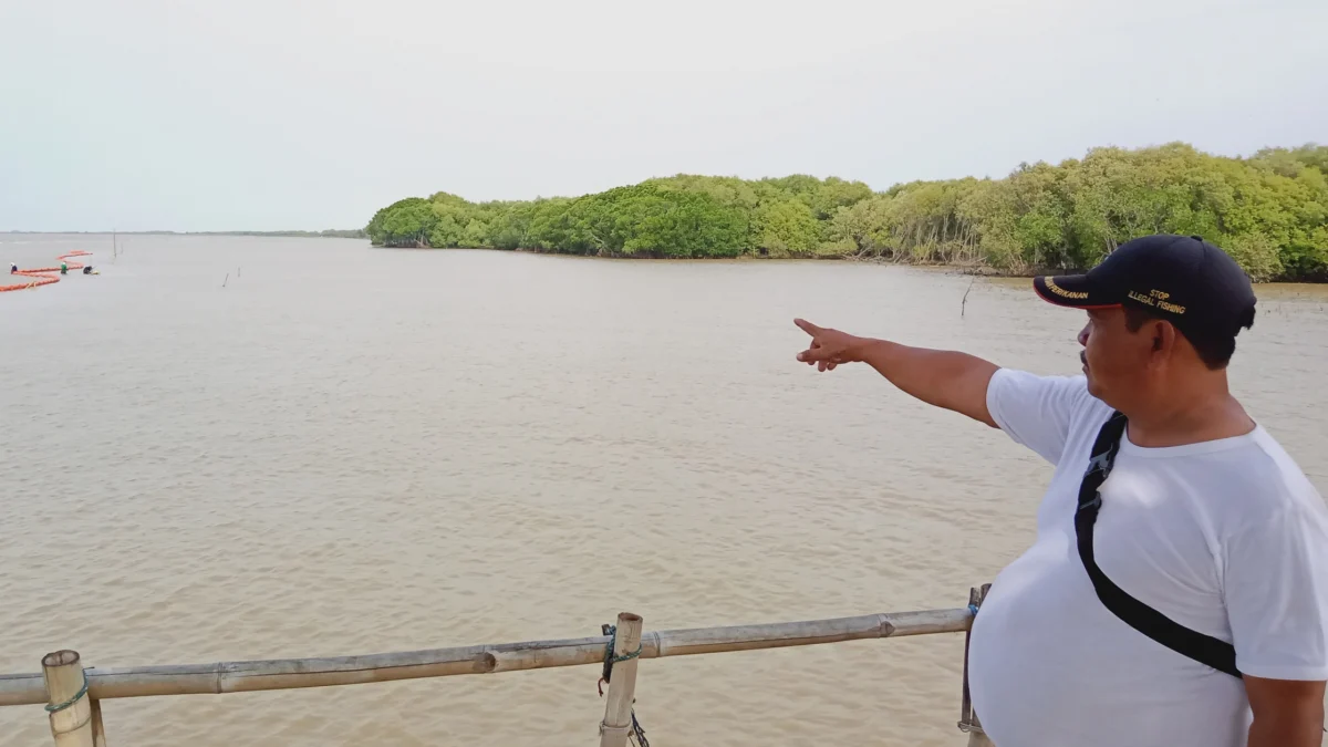 Perjuangan Nelayan Cilamaya Menjaga Hutan Mangrove