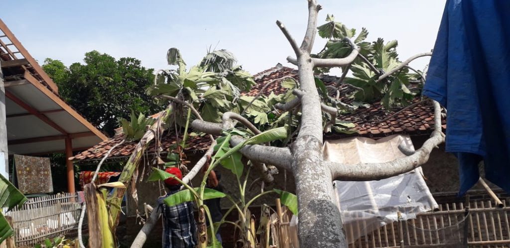 Astaga! Tiga Kecamatan di Karawang Disapu Puting Beliung: 60 Rumah Rusak