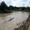 7 Titik Tanggul Rawan Jebol, Banjir Parah 'Hantui' Cilamaya