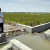 Desa Muarabaru Benahi Infrastruktur Pertanian