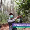 Aksi Tali Intan,  Inovasi Ridwan Kamil Jaga Produktivitas Lahan Tanpa Pestisida