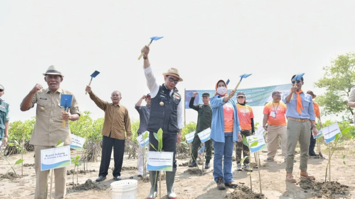 Masyarakat Harus Gencarkan Penanaman Mangrove di Pesisir Utara Jabar