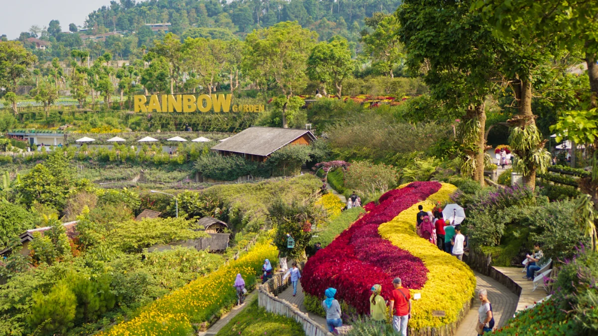 Ajak Ayank ke Rainbow Garden: Taman Bunga Warna-Warni di Bandung, Cocok untuk Spot Foto Estetik!
