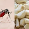 Gunakan Bawang Putih dan Cengkeh Sebagai Pengganti Obat Nyamuk, Dijamin Ampuh