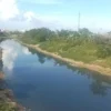 Air Sungai Citarum Hitam dan Bau