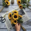 Ingin Memberikan Bunga Tapi Bingung Mau Yang Mana? Berikut 15 Makna Bunga Cocok Untuk Diberikan Ke Temen, Keluarga Atau Pasangan