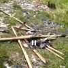 Sekelompok Pemuda Tak Dikenal Mencabut dan Membakar Baligo Ganjar-Mahfud