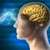 Rahasia Merangsang Daya Pikir: Panduan Untuk Menjaga Kemampuan Otak Orang Dewasa Tetap Tajam dan Produktif