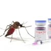 Vaksin Dengue: Apa Saja Keuntungannya?