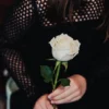 7 Arti Bunga Mawar Putih, Punya Makna Duka Hingga Kesetiaan Cinta