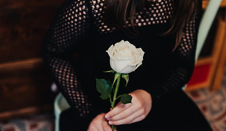 7 Arti Bunga Mawar Putih, Punya Makna Duka Hingga Kesetiaan Cinta
