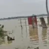 5 TPS di Karawang Terendam Banjir, Ini Langkah Ketua KPU Mari Fitriana