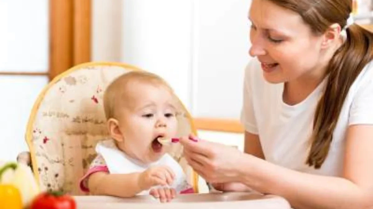 bayi makan lahap menyukai semua varian bubur organik