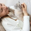 Mengungkap Misteri Perilaku Kucing: Inilah 8 Alasan Mengapa Kucing Suka Tidur di Perut Pemiliknya, Ada yang Mengejutkan!