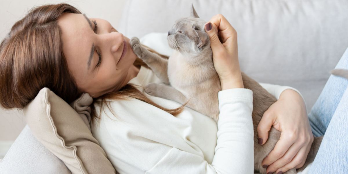 Mengungkap Misteri Perilaku Kucing: Inilah 8 Alasan Mengapa Kucing Suka Tidur di Perut Pemiliknya, Ada yang Mengejutkan!