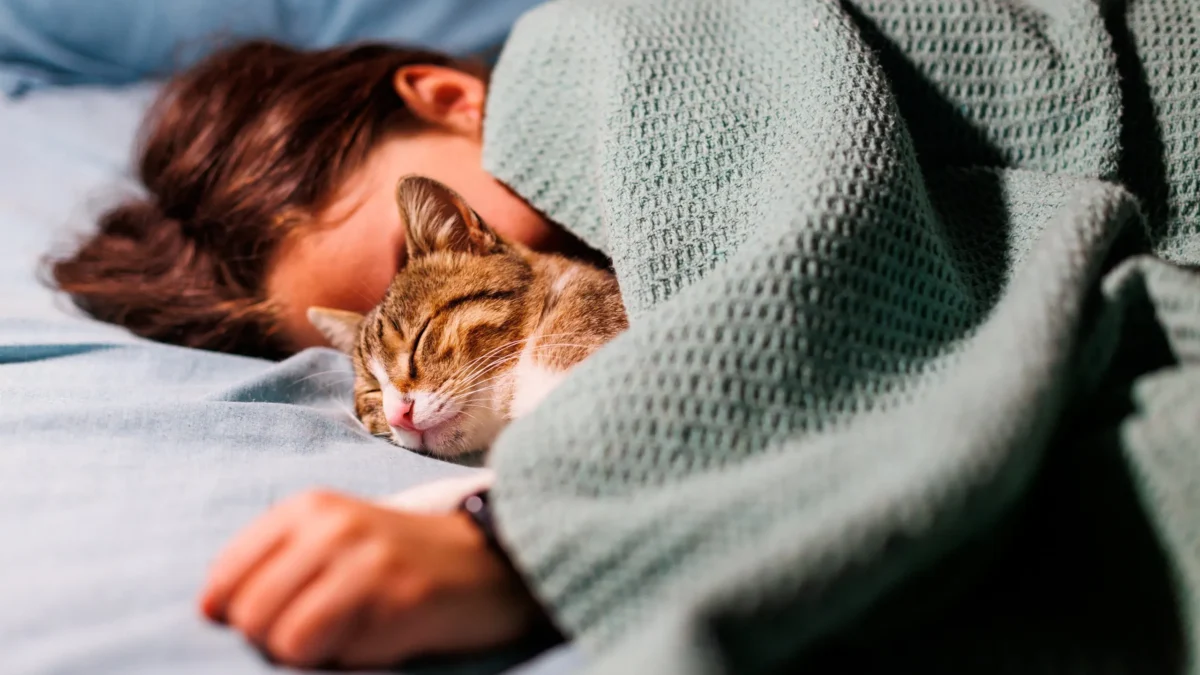 7 Fakta Seputar Tidur Bersama Kucing: Simak Hal-Hal yang Wajib Diperhatikan Sebelum Memutuskan Berbagi Tempat Tidur dengan Si Kucing!